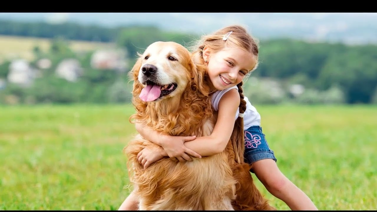 Pet Supplies